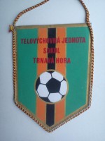 /album/trnava-hora/trnava-hora-tj-sokol-16-jpg/